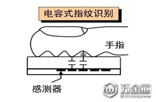 電容式指紋識別