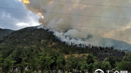 云南大理蒼山林區(qū)發(fā)生森林火災(zāi) 730人正全力撲救