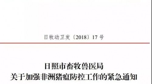 山東日照市畜牧獸醫(yī)局下發(fā)緊急通知 加強非洲豬瘟防控工作