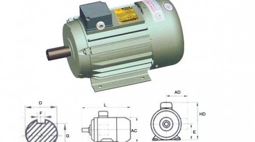 三相異步電動機(jī)發(fā)展前景預(yù)測！