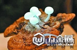 中國建材網(wǎng)