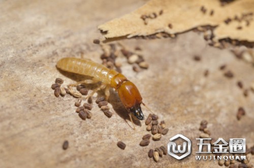 中國建材網